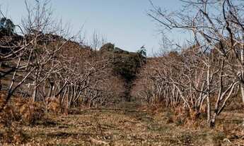 Imagem 3: Terreno - Bairro Mato Queimado