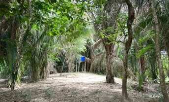 Imagem 3: CHÁCARA NA BEIRA DO RIO TOCANTINS A MINUTOS DA CIDADE DE MIRACEMA!