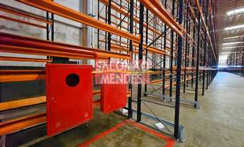 Imagem 4: Centro Logístico Na Augusto Montenegro - 6500 posições Pallets. 7500m2