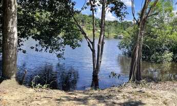 Imagem 4: PASSÁROS DA AMAZÔNIA Com vista privilegiada para Manaus e a Ponte Rio Negro mensais R$507