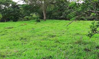 Imagem 5: Chacara de 2,19 alqueires em Terezopolis de Goias