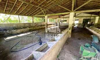 Imagem 6: Fazenda com 3 quartos à venda, 480000 m² por R$ 2.500.000 - Reginópolis - Silva Jardim/RJ