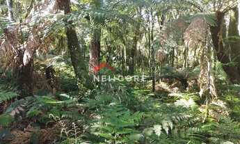 Imagem: Lote em Rua A Quadra XII - Colinas - São