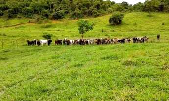 Imagem 5: Venda-se está propriedade de 27,5 alqueires no Município de Mimoso do Sul/ES