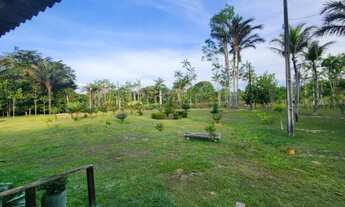 Imagem 3: Sítio 1000 x 3.000 estrada Balbina 1.016.000