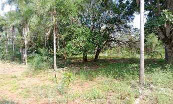 Imagem 6: Vendo ótima chácara em Planaltina-DF