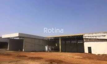 Imagem 2: Área para alugar, Minas Gerais - Uberlândia/MG - Rotina Imobiliária
