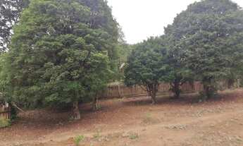 Imagem 6: Vende se ou troca sítio em Entre Rios de Minas (Bom Jardim dos Coelhos