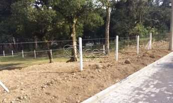 Imagem 7: Terreno 10.000,68m² no Bairro São Ciro/Século XX em Caxias do Sul