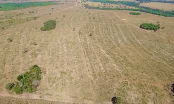 Imagem 7: Fazenda 974 hectares área total localizada em Serranópolis-GO