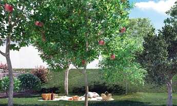 Imagem 4: RY. Lindo apto 2 quartos com lazer completo, localização privilegiada, sinal 1.000