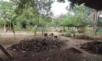 Imagem 4: Terreno para venda, todo Murado, Coophema