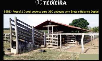 Imagem 2: FAZENDA TEIXEIRA - EM FRENTE AO OUTLET