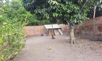 Imagem 5: Vendo uma excelente casa na av. Cafeteira. Casa bem localizada e no centro da cidade