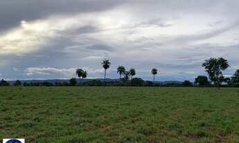 Imagem 6: Fazenda à Venda em Piranhas (GO) 79 Alqueires