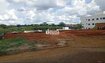 Imagem: Terreno disponível para venda no bairro