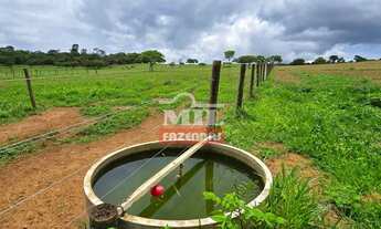 Imagem 5: Chácara 9 alqueires (43 hectares) Leopoldo de Bulhões - Go