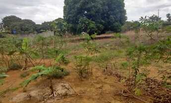 Imagem 5: Vendo terreno no Incra 9 gleba 4 Ceilândia Norte de 5 mil metros