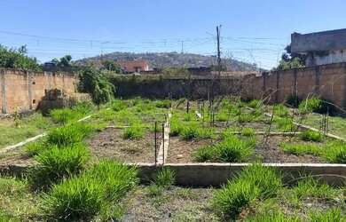 Imagem 5: Vende-se Lote 420m