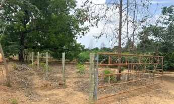 Imagem 7: CHÁCARA NA BEIRA DO RIO TOCANTINS A MINUTOS DA CIDADE DE MIRACEMA!