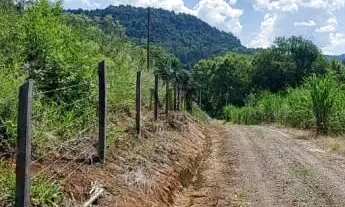 Imagem 4: Área de terra bairro Picada Holanda, Picada Café. RS Ref.:171