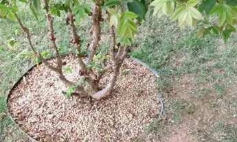 Imagem 4: Casa de condomínio em Rua Conde de Oriola - Jardim Ângela (Zona Sul) - São Paulo/SP