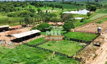 Imagem 3: Fazenda 68,8 alqueires (333 hectares) Morrinhos - Go