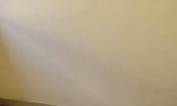 Imagem 6: Alugo apto no guarani