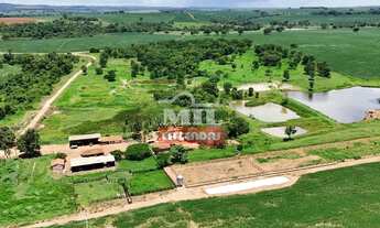 Imagem 2: Fazenda 68,8 alqueires (333 hectares) Morrinhos - Go