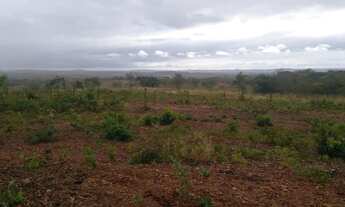 Imagem 4: Chácara com 1,2 hectares