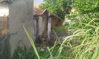 Imagem 3: Vende-se terreno