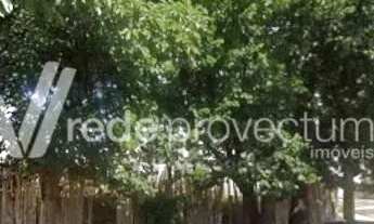 Imagem 4: Terreno - Parque Taquaral - Campinas