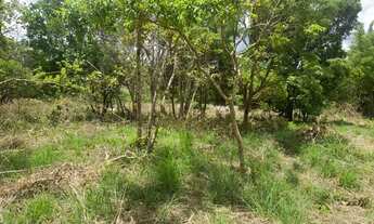 Imagem 3: Chácaras de 1.200mt há 40km de Anapolis parceladas!