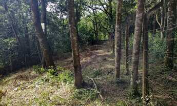 Imagem 5: Terreno em Mateus Leme