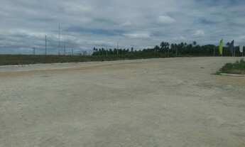 Imagem 4: Terrenos em ( CANGUARETAMA