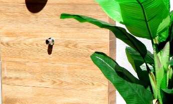 Imagem 3: Casa da Amazônia no Prado na Bahia