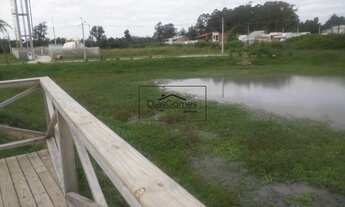Imagem 5: PELOTAS - Terreno Padrão - Areal