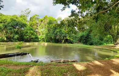 Imagem 4: Chácara de 9 hectares. 19 km de Campo Grande. Rica em água