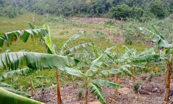 Imagem: Vendo Imóvel Rural - 4,8 hectares