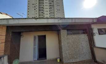 Imagem 2: São Paulo - Casa Padrão - Tatuapé