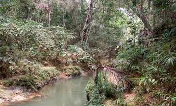 Imagem 2: Fazenda Juquirada no Muni. de Chapada dos Guimaraes - MT