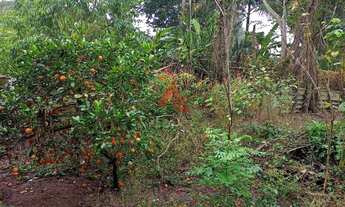 Imagem: Rural - Venda - Estância Porto Velho