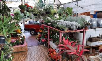 Imagem 6: Ponto comercial floricultura com cafeteria em Itatiba - SP