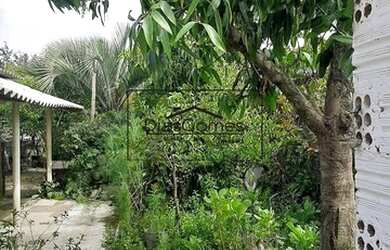 Imagem 3: PELOTAS - Casa Padrão - Areal