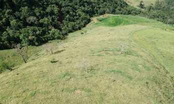 Imagem 5: Linda área no St.Bárbara 3 alqueires