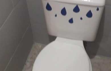 Imagem 7: Casa para Locação em São Paulo, LAUZANE PAULISTA, 1 dormitório, 1 banheiro