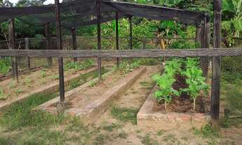 Imagem 7: Chácara Chácara com venda por R$480.000