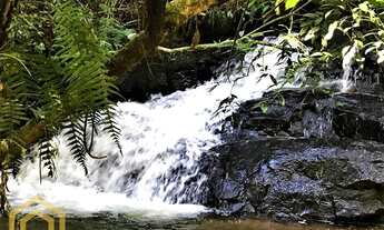 Imagem 4: TERRENO COMERCIAL em SANTO ANTÔNIO DO PINHAL - SP, Boa Vista