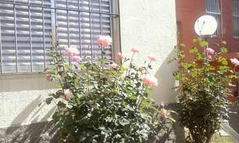 Imagem 6: Apartamento em Vila Celeste - São Paulo