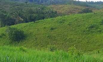 Imagem 3: Terra 14 alqueires pego imóvel na negociação? 50 km de Parauapebas?